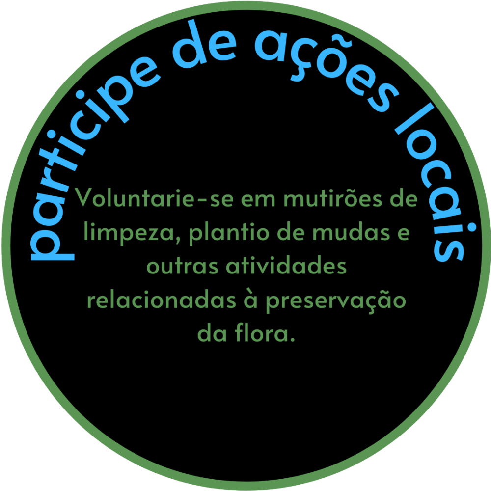 Voluntarie-se em mutirões de limpeza, plantio de mudas e outras atividades relacionadas à preservação da flora.